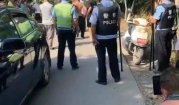 郓城最新爆料事件,揭秘事件背后惊人真相